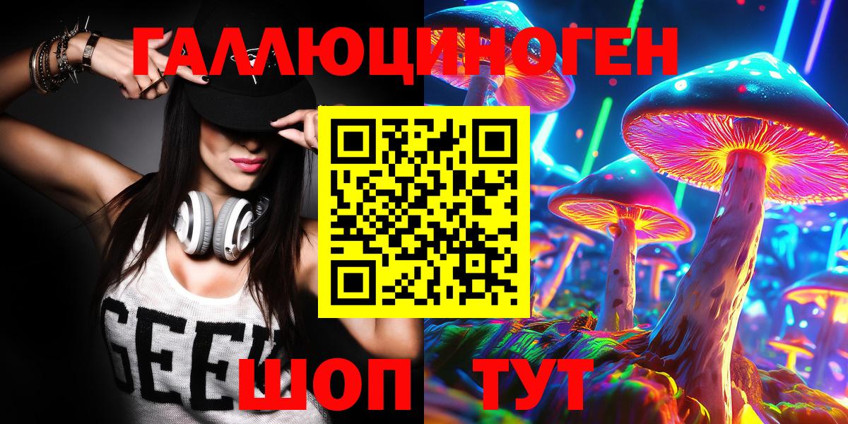 Псилоцибиновые грибы Psilocybe  Вход с VPN  Мыски 